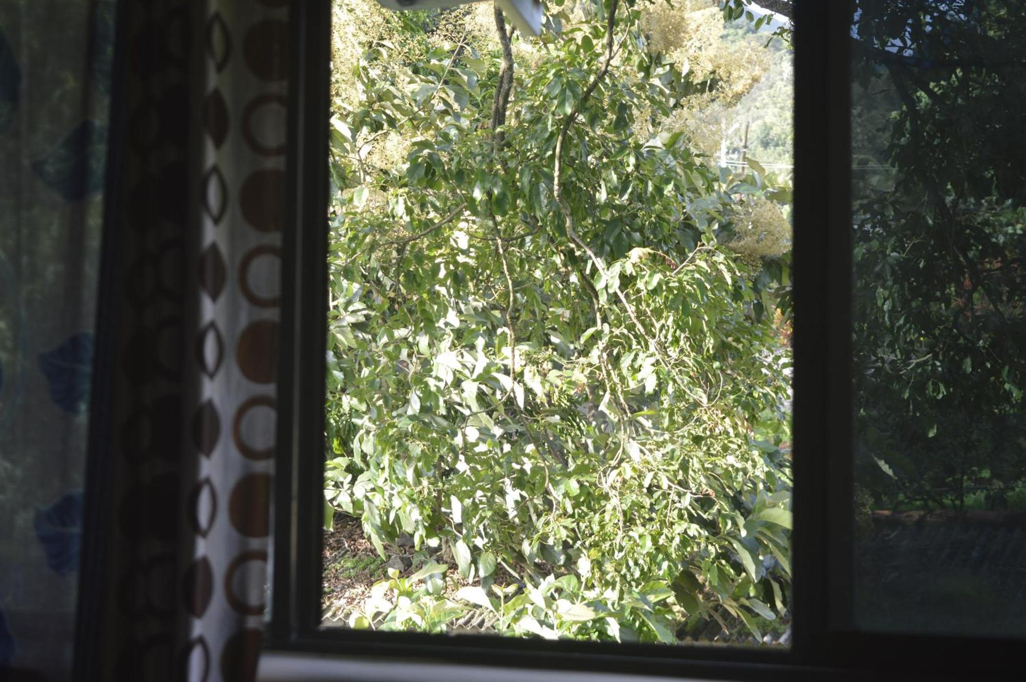 Green Castle Residency Nedumkandam Dış mekan fotoğraf